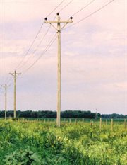 Jesus of nebraska cover image