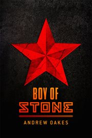 Boy of stone cover image