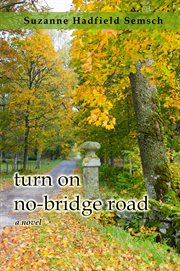 Turn on No-Bridge Road: a novel cover image