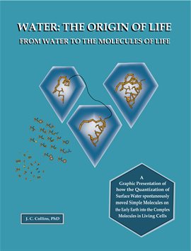 Cover image for Water: The Origin of Life