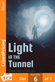 A light in the tunnel : a novel cover image