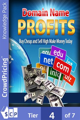 Cover image for Domain name profits