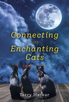 Connecting with Enchanting Cats
