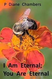 I am eternal; you are eternal : Six Walks In Heaven cover image