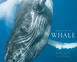 Cover image for Beautiful Whale