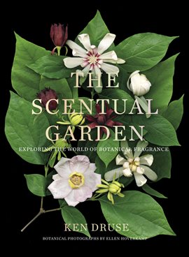 Cover image for The Scentual Garden