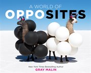 A world of opposites cover image