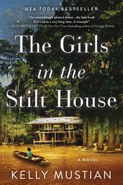 The girls in the stilt house : a novel cover image