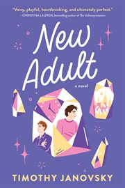 New Adult : Boy Meets Boy cover image