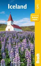 Iceland : modern processes and past environments cover image