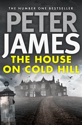 Cover image for The House on Cold Hill