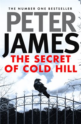 Cover image for The Secret of Cold Hill