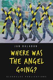 Where was the angel going? cover image