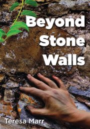 Beyond stone walls cover image