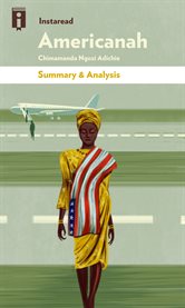 Summary of Americanah by Chimamanda Ngozi Summary of Americanah by Chimamanda Ngozi