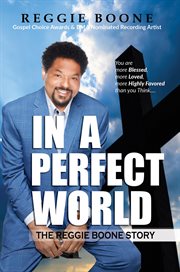 In a Perfect World cover image