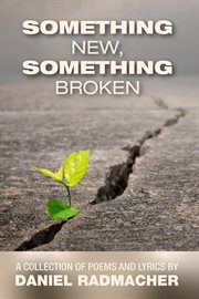 Something New, Something Broken cover image