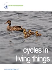 Cycles in living things cover image