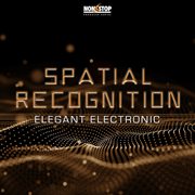 Spatial Recognition cover image