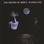 Floodland (2006 Remaster) [Expanded Deluxe Version] cover image