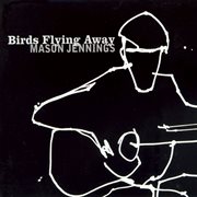 Birds flying away cover image