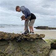 Timeless cover image