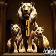 33 Kings cover image