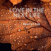 Love In The Next Life cover image