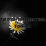 The Story Of Broken Wings cover image