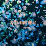 Little Things You Do cover image
