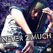 Never 2 much (luther) (feat. dolo & fiyastarta) cover image
