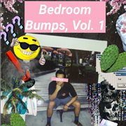 Bedroom bumps, vol. 1 cover image