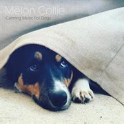 Calming music for dogs cover image