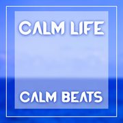 Calm beats cover image