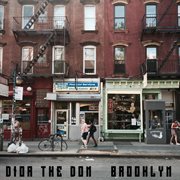 Brooklyn cover image