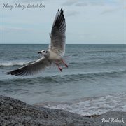 Mary, mary, lost at sea cover image