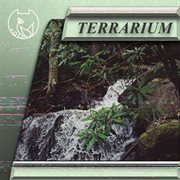 Terrarium cover image