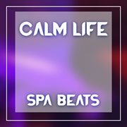 Spa beats cover image