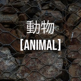 動物 - [Animal]