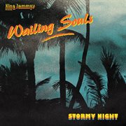 Stormy Night cover image