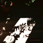 Loops for dissipation cover image