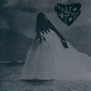 Into the void cover image