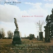 American elegies cover image