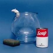 Hot Wheels: Scat Pack cover image