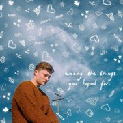 Among the Things You Hoped For cover image