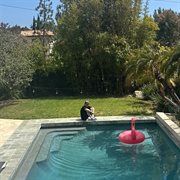 How I'm feeling now cover image