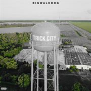 Trick City cover image
