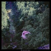 Wingding cover image