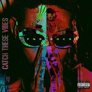 Catch these vibes cover image