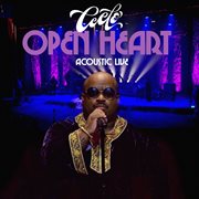 Open heart acoustic live cover image